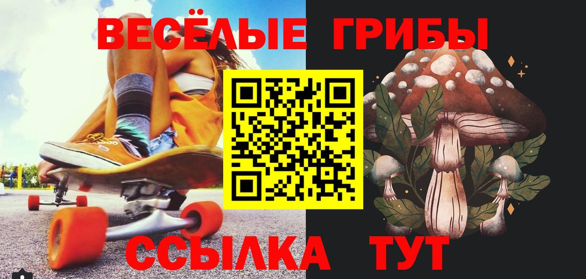 Псилоцибиновые грибы мицелий Удомля